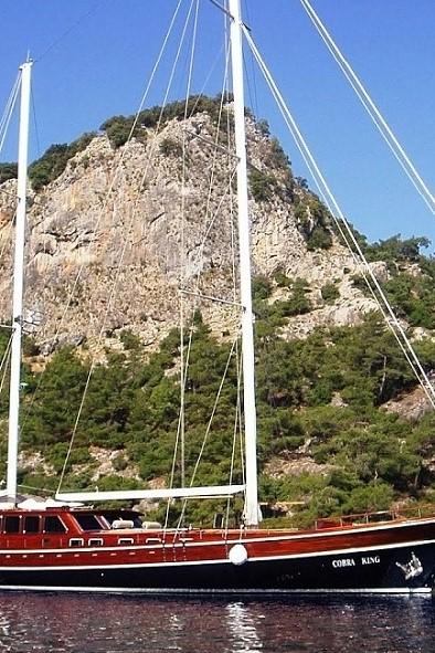 Beautifully Maintained